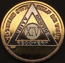 14 Year Bi Plate Gold Silver