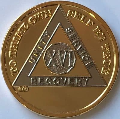 16 Year Bi Plate Gold Silver