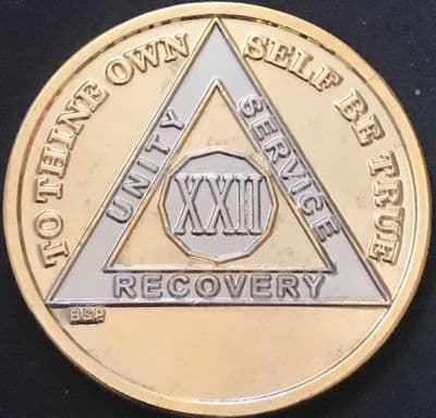 22 Year Bi Plate Gold Silver