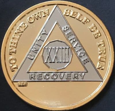23 Year Bi Plate Gold Silver