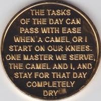 AA Camel Coin Gold Plated