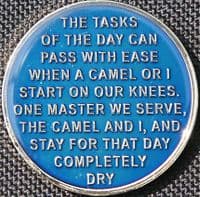 AA Camel Midnight Blue