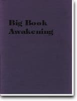 Big Book Awakening by Dan S.(12 Step Workbook)