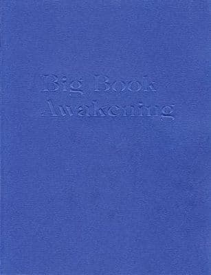 Big Book Awakening by Dan S.(12 Step Workbook)