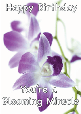 Happy Birthday, You're a Blooming Miracle