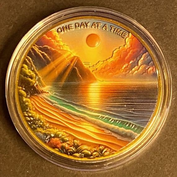 One Day at a Time- Serene Bay Medal