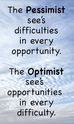 Pessimist Optimist x 10