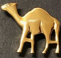 Secret AA Camel Pin Gold   (Look at Legs)