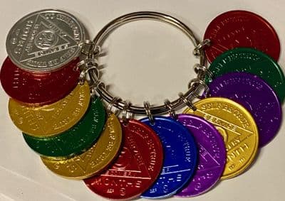 Set of 12 Newcomer Chips on Large Ring.