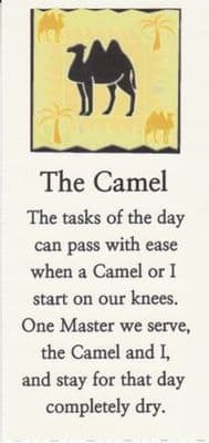The AA Camel x 10