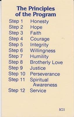 The Principles of the Program x 10