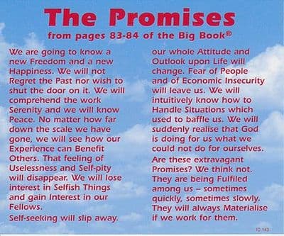 The Promises x 6