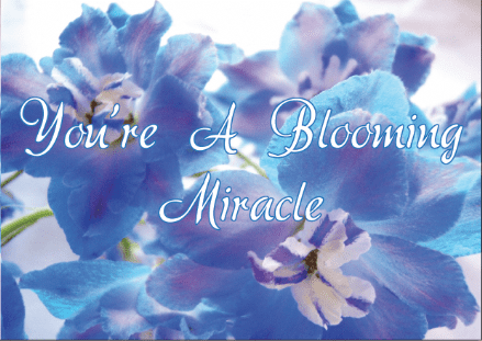 Your a Blooming Miracle !