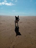 Air b&b Become a host today 07478 761593