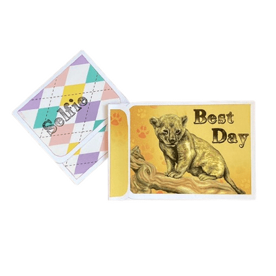 Dawn Macfie Craft Along Make a Mini Album Using 10.5cm x 30cm Card 16/04/25 4pm