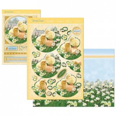 Easter Chicks Deco-Large Set Spring Days Hunkydory