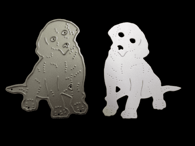 Labrador Puppy Die By Britannia Dies