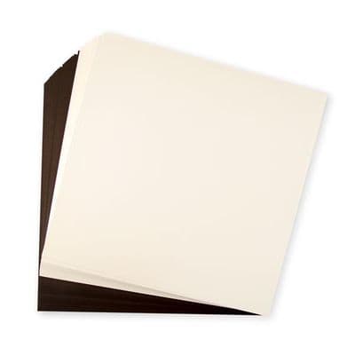 Pink Frog Crafts 12 Inch Memory Folio Kit - True Brown & True Ivory