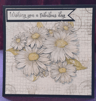 Pink Frog Crafts Daisies A5 Clear Stamp Set