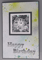 Pink Frog Crafts Daisies A5 Clear Stamp Set