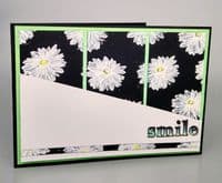 Pink Frog Crafts Daisies A5 Clear Stamp Set