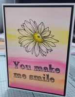 Pink Frog Crafts Daisies A5 Clear Stamp Set