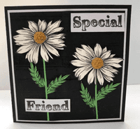 Pink Frog Crafts Daisies A5 Clear Stamp Set