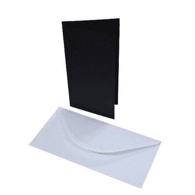 Pink Frog Crafts DL True Black Cards & Envelopes 20 Pack