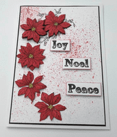 Pink Frog Crafts Festive Greetings A5 Clear Stamp Set