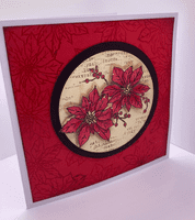 Pink Frog Crafts Festive Greetings A5 Clear Stamp Set