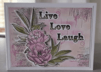Pink Frog Crafts Memories & Moments A5 Clear Stamp Set