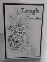 Pink Frog Crafts Memories & Moments A5 Clear Stamp Set