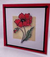 Pink Frog Crafts Precious Poppies A5 Clear Stamp Set