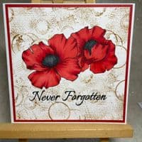 Pink Frog Crafts Precious Poppies A5 Clear Stamp Set