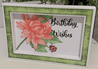 Pink Frog Crafts Super Smooth Unscored Card 300gsm 10.5cm x 30cm - BOGOF