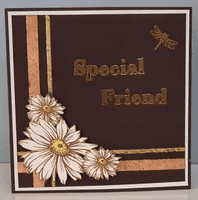 Pink Frog Crafts True Brown Unscored Card 290gsm 50 15cm x 30cm Sheets