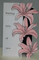 Pink Frog Crafts Typewriter Additions A5 Clear Stamp Set