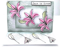 Pink Frog Crafts Typewriter Additions A5 Clear Stamp Set