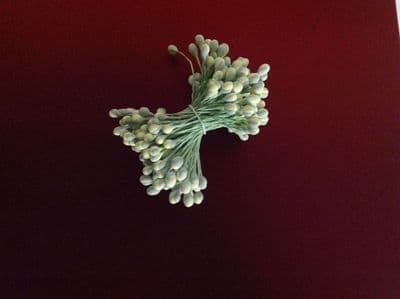 Poinsettia Stamens x 1 Bunch
