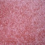 Barbados 13 - Fantasy Rose