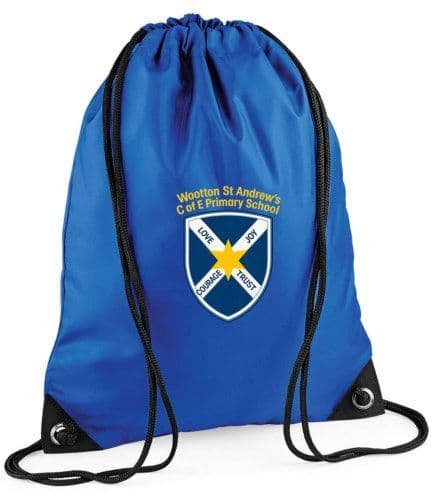 Shoe Bag