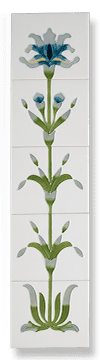 Flag Iris (Ivory blue)