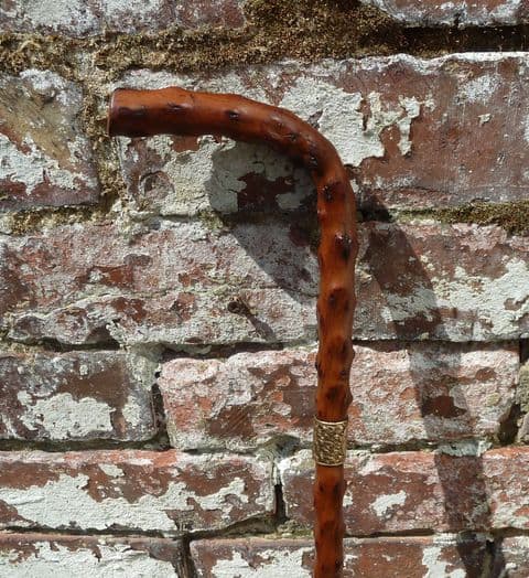 Antique Bramble Walking Stick Cane Crook Handle Gold Pated Collar Circa 1900