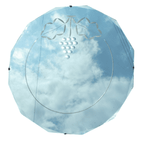 Antique Dodecagon Frameless Bevelled Glass Wall Mirror with Chain Circa 1930s Grapevine Grape Design