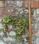 Antique Farming Tool English Tools Ltd Wigan Leeds Long Handled Hay Pitch Fork  2 Tine Prong Barn