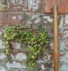 Antique Farming Tool English Tools Ltd Wigan Leeds Long Handled Hay Pitch Fork  2 Tine Prong Barn