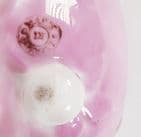 Antique German Souvenir Porcelain Basket St Pauls Cathedral London 1900s Pink