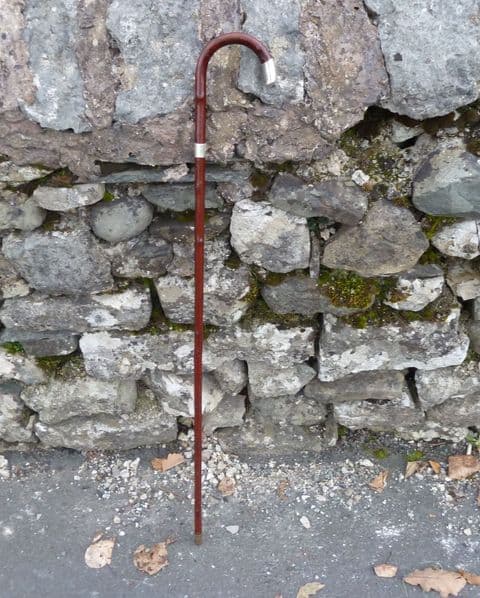 Antique Jonathan Howell Birch Walking Stick Cane Hallmarked Silver Collar Top JH Birmingham 1921