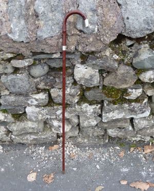 Antique Jonathan Howell Birch Walking Stick Cane Hallmarked Silver Collar & Top JH Birmingham 1921