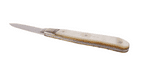 Antique Sheffield Mini Miniature Carved MOP Mother of Pearl Pocket Pen Knife Floral Design Stunning